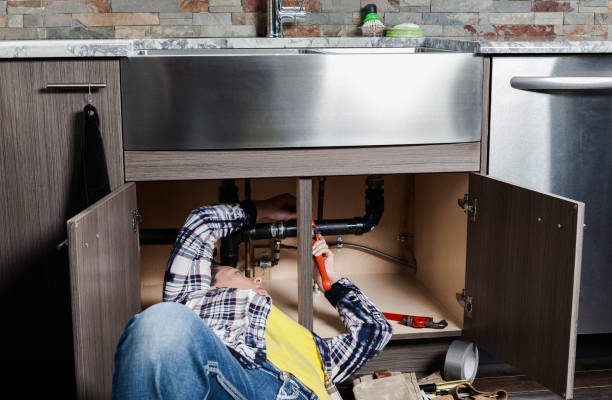 Best Toilet Repair Services  in Naples, UT